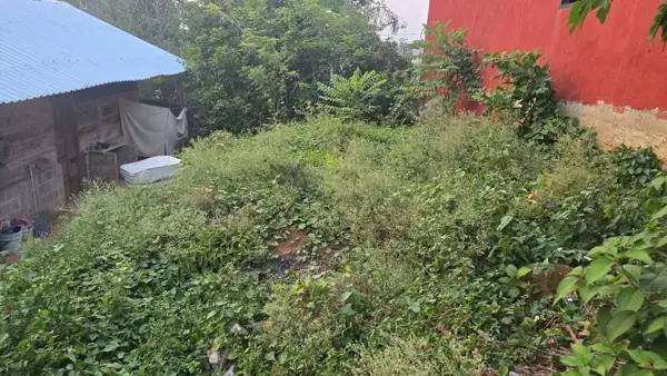 Terreno en venta en Las Flores, Teapa, Tabasco
