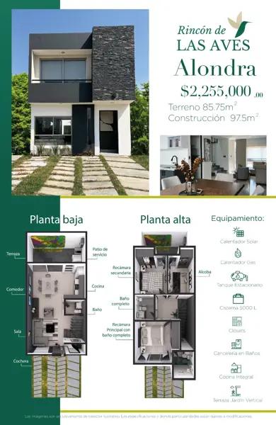 Rincón de las aves