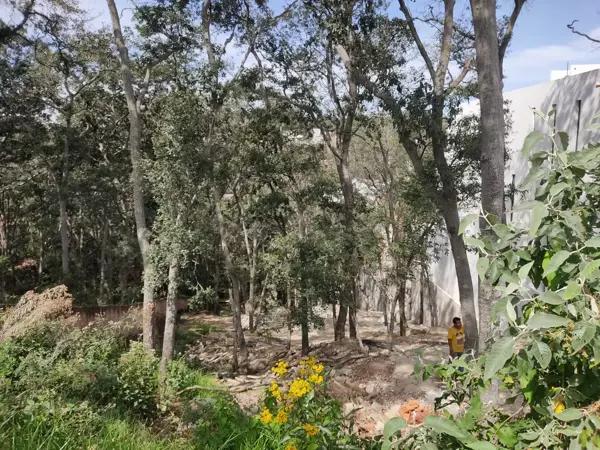 Terreno Condado de Sayavedra, Atizapan de Zaragoza Terreno Condado de Sayavedra, Atizapan de Zaragoza