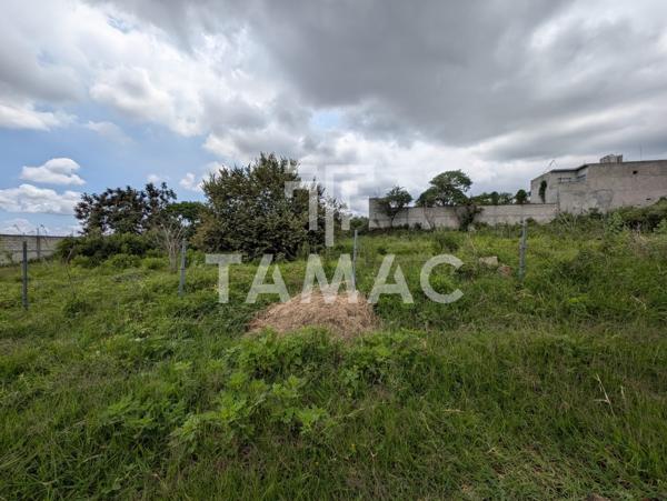 Venta de terreno plano en Ahuatepec en Cuernavaca Morelos Venta de terreno plano en Ahuatepec en Cuernavaca Morelos