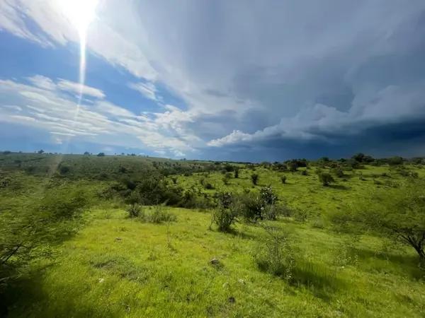Parcela  en Venta para Siembre o Rancho en Xoxocotla Morelos