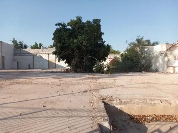 Terreno en renta en San Isidro, Torreón, Coahuila de Zaragoza Terreno en renta en San Isidro, Torreón, Coahuila de Zaragoza