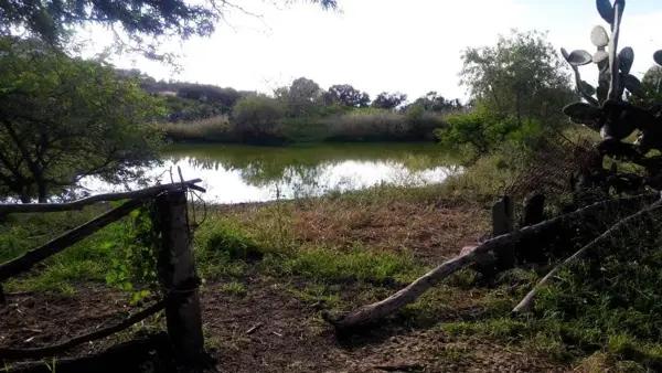 TERRENO EN VENTA EN LOS OLVERA, CORREGIDORA TERRENO EN VENTA EN LOS OLVERA, CORREGIDORA