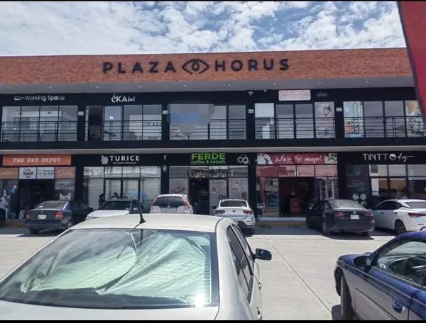 LOCAL COMERCIAL  PLAZA HORUS EN  METEPEC ,ESTADO DE MEXICO .
