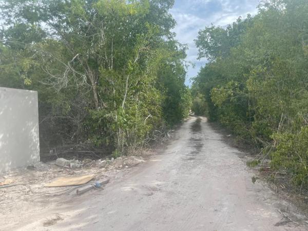 Lote en Venta en Puerto Morelos Quintana Roo Lote en Venta en Puerto Morelos Quintana Roo