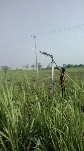 350 Hectares en venta Tierra Blanca, Veracruz - Zona Cuenca del Papaloapan 350 Hectares en venta Tierra Blanca, Veracruz - Zona Cuenca del Papaloapan