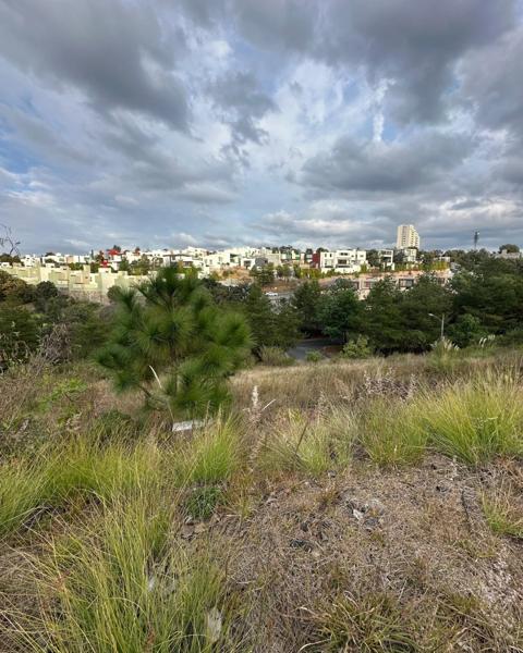 Terreno en venta en Bosque Monarca, Morelia, Michoacán de Ocampo
