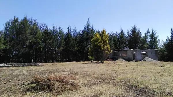 TERRENO EN VENTA EN HUASCA DE OCAMPO, PARA CABAÑAS