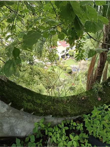 Terrenos en venta en Cuernavaca. Terrenos en venta en Cuernavaca.