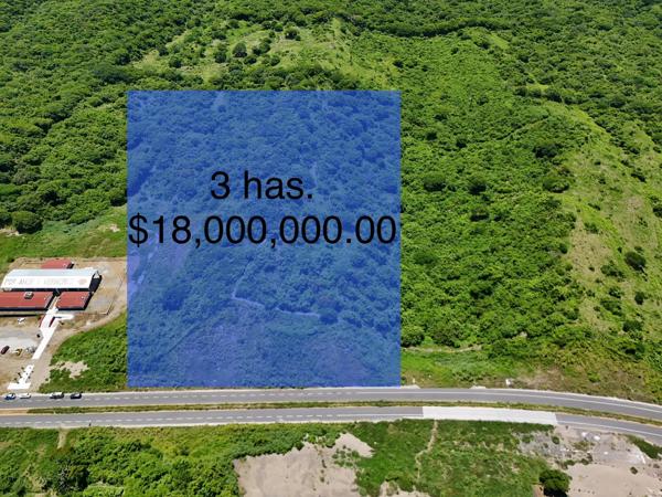 TERRENO EN VENTA EN ANTÓN LIZARDO