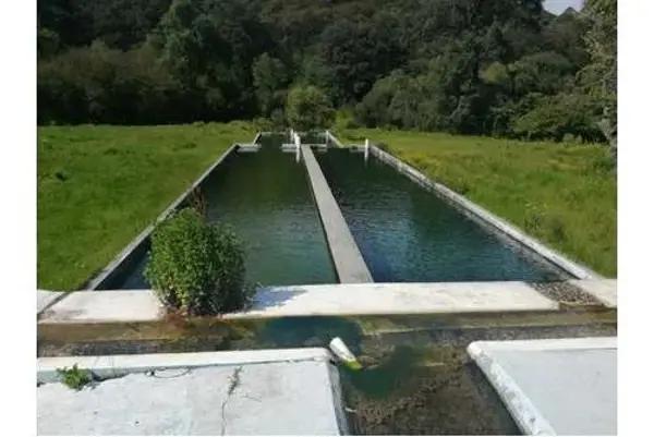 Rancho en Venta San Bartolo de Morelos, Estado de Mexico