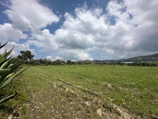TERRENO EN VENTA | San Juan Tilcuautla, Hidalgo.