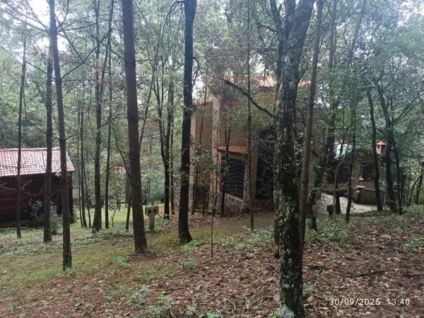 TERRENOS EN QUERCUS