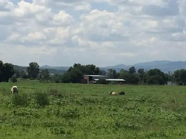 VENTA TERRENO 74,950m JUNTO A LA VIDA Y VILLALBA, EL ROMERAL, CORREGIDORA VENTA TERRENO 74,950m JUNTO A LA VIDA Y VILLALBA, EL ROMERAL, CORREGIDORA