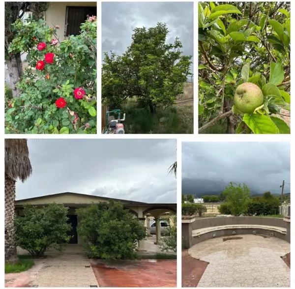 Casa en venta en Arteaga Centro, Arteaga, Coahuila de Zaragoza
