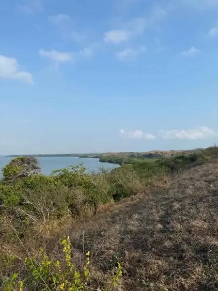 Terreno Residencial en Venta en Arbolillo, Alvarado, Veracruz - 80,000 m² Disponibles Terreno Residencial en Venta en Arbolillo, Alvarado, Veracruz - 80,000 m² Disponibles