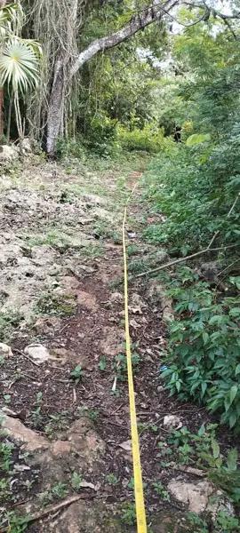 El terreno cuenta con todo sus documentos al horden