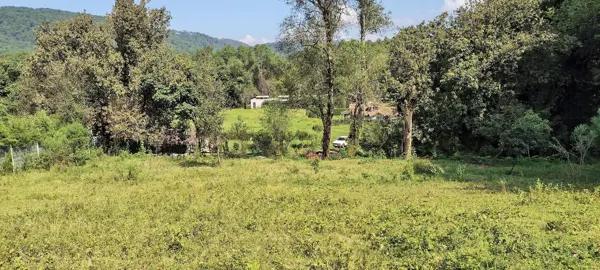 Terreno venta por Rancho Las Joyas Terreno venta por Rancho Las Joyas