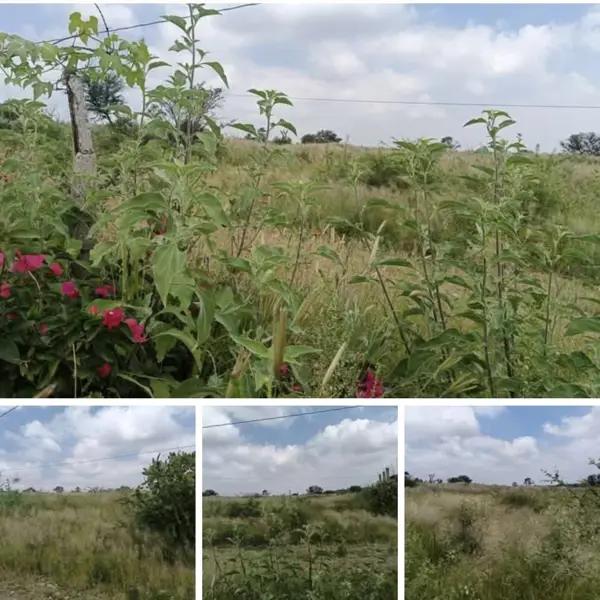 Venta de Terreno en San José de Buenavista