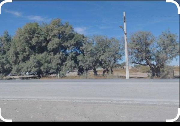 SE VNEDEN 15 HECTÁREAS A PIE DE CARRETERA PASTOR RIOUX SE VNEDEN 15 HECTÁREAS A PIE DE CARRETERA PASTOR RIOUX