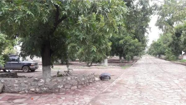 TERRENOS CAMPESTRE EN VENTA EN GOMEZ PALACIO DGO.