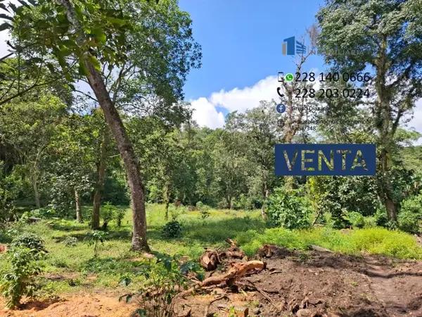 Terreno en venta en San Jacinto, Coatepec, Veracruz de Ignacio de la Llave