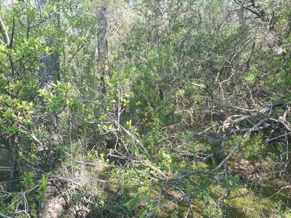 Lote campestre Fracc La Herradura Lote campestre Fracc La Herradura