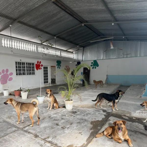 Bodega en Renta en esquina sobre Av. Juárez – Playa del Carmen