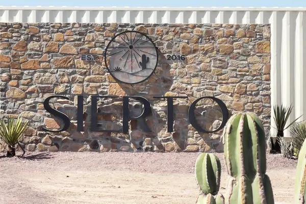 Terreno en venta en La Rosa, General Cepeda, Coahuila de Zaragoza