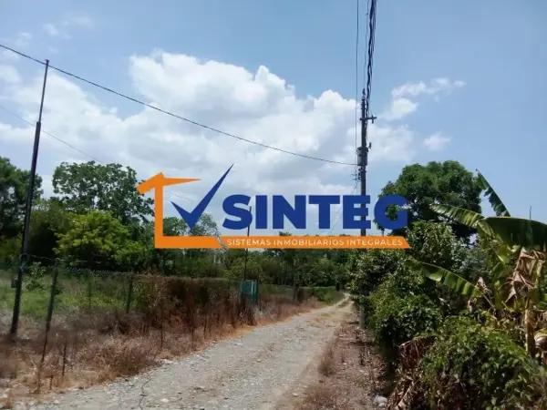 RENTA TERRENO 10,000 M2 LA VICTORIA KM 47, PAPANTLA.