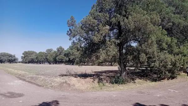 Terreno Habitacional y para uso industrial
En esquina con todos los servicios a menos de 100 metros