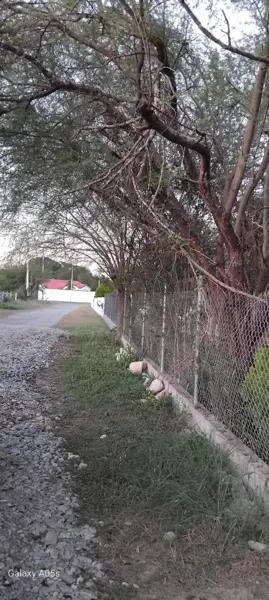 QUINTA EN VENTA