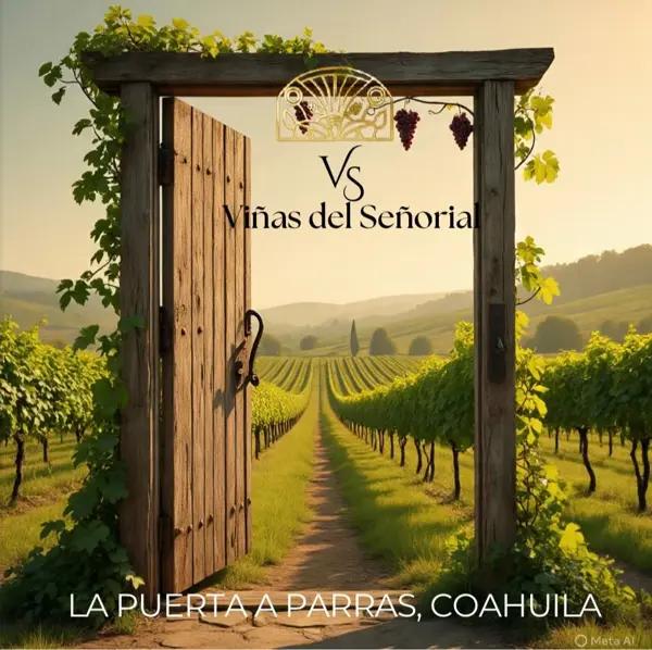 VIÑAS EL SEÑORIAL TERRENOS CAMPESTRES EN PARRAS