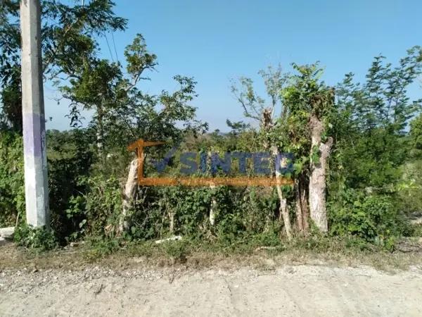 VENTA TERRENO 720 M COL. YANGA VENTA TERRENO 720 M COL. YANGA