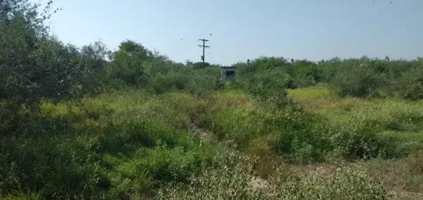 Terreno en Venta en Tamaulipas ¡Oportunidad Única!