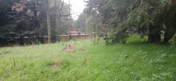 Terreno en Venta Morelos Fraccionamiento María Candelaria Huitzilac