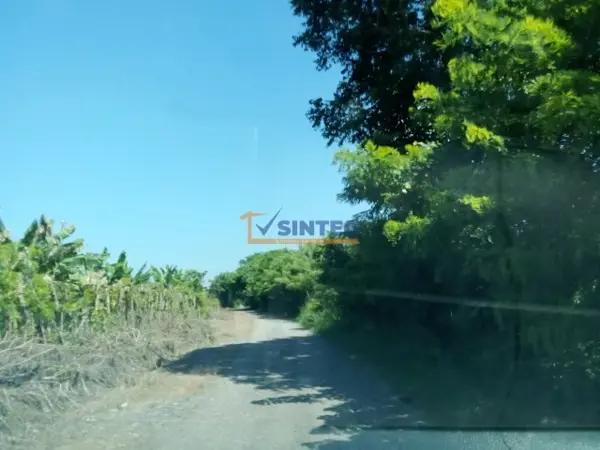 Venta de terreno agrícola, EJIDO, superficie 3 HAS Cong la Concepción, Tihuatlan, Veracruz