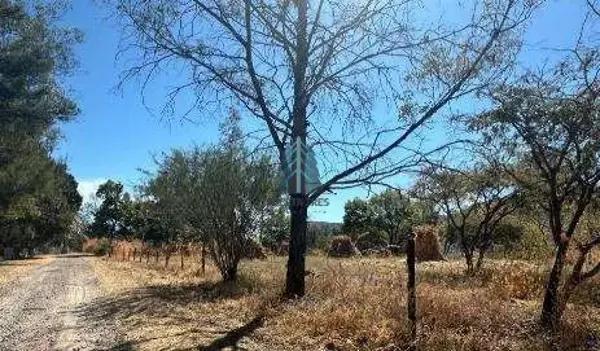 Terreno en venta – Ixtlahuacán de los Membrillos