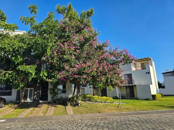 Casa SantaFe II, Xochitepec ?