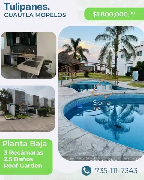 CASA EN VENTA CUAUTLA  MORELOS.
LOS TULIPANES
