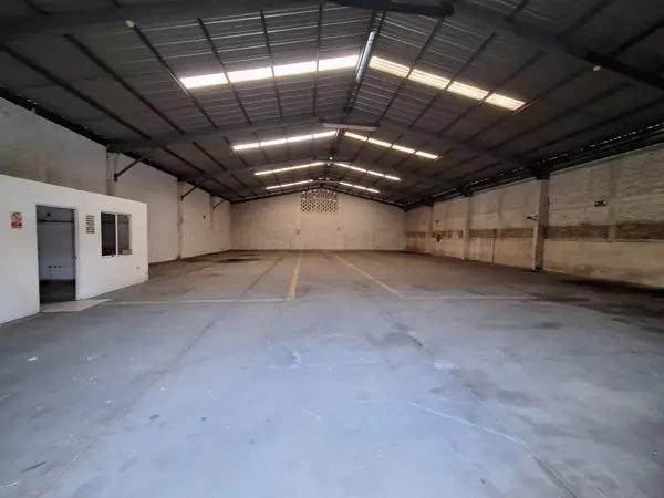 Bodegas en renta Culiacan 600 m²