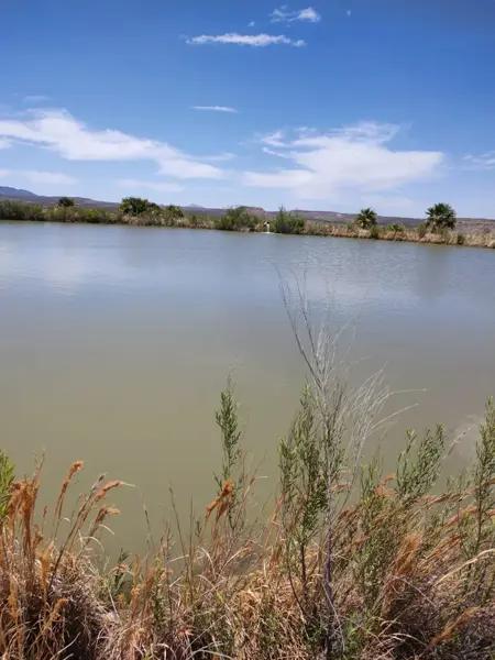 Terreno en venta en San Francisco de Conchos Centro, San Francisco de Conchos, Chihuahua