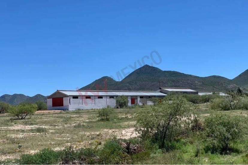 Foto 0 de "Oportunidad de Inversión en Ejido Agua Nueva" | Id nn-as1000441