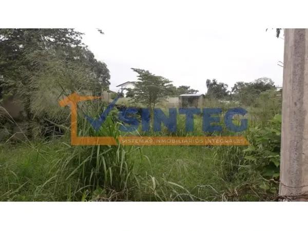 VENTA DE LOTES 106.75 MT COL. MIGUEL ALEMAN, TUXPAN.