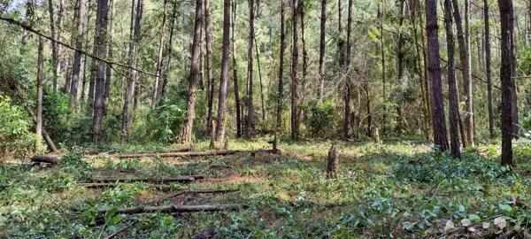 Terreno venta bosque Avandaro Cerro Gordo