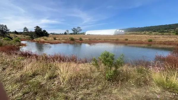 Terreno agrícola con invernadero en venta en San Pedro Tenango, Amealco – 3 Hectáreas con Escritura