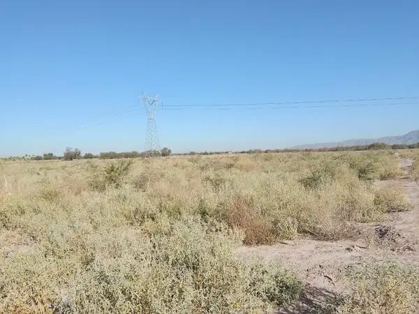 TERRENO EN VENTA EN EJIDO ANDALUCÍA MATAMOROS, COAHUILA TERRENO EN VENTA EN EJIDO ANDALUCÍA MATAMOROS, COAHUILA