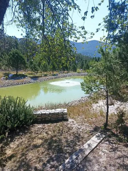 FRACCIONAMIENTO CAMPESTRE BOSQUE BOREAL