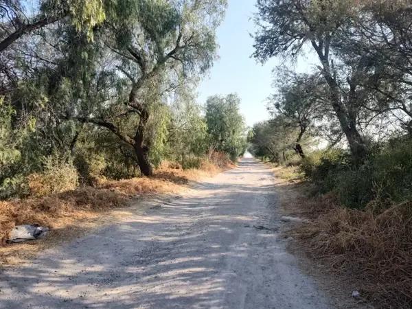 TERRENO EN VENTA LOS ÁNGELES CORREGIDORA, QUERÉTARO
