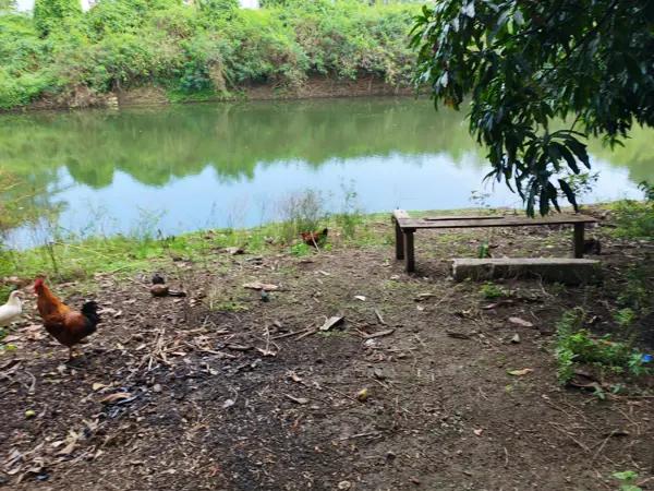 Terreno venta, orilla del río en el Tejar mpio de Medellín Veracruz